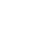NaoBet Casino Logo