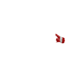 Meridianbet Casino Logo