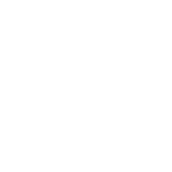 Stake Casino BR Logo