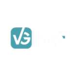 VGbet Casino Logo
