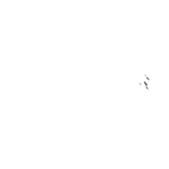 Amiriexch Casino Logo