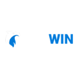 NURWIN Casino Logo