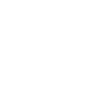 Wgo247 Casino Logo