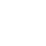 Stake Casino IT Logo