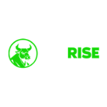 BetRise Casino Logo