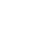 Feinbet Casino Logo