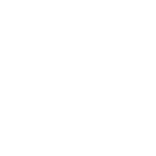 STAKEBOSS Casino Logo
