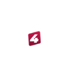 Bet4Star Casino Logo