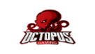 Octopus Gaming