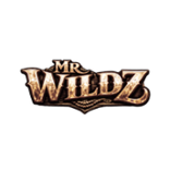 MrWildz Casino Logo