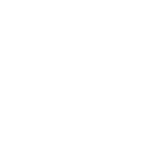 LionBet Casino Logo
