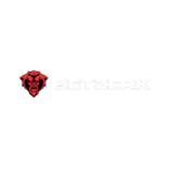 Betzerk Casino Logo