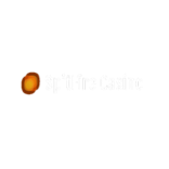 Spitfire Casino Logo