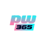 PlayWise365 Casino Logo