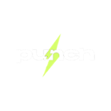 Punch.bet Casino Logo