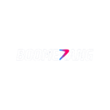 Boomerang.Bet Casino Logo