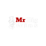 Mr Big Wins Casino Logo