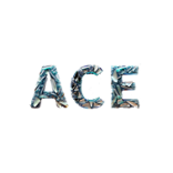 Ace of Casino Logo