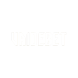 VaideBet Casino Logo