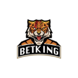 BETKING Casino Logo
