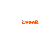Casino Gusar Logo