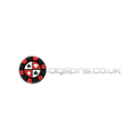 BigSpins.co.uk Logo