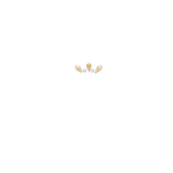 Exclusive Casino Logo