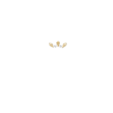 Exclusive Casino Logo