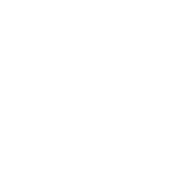 Falconbet Casino Logo