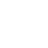 White Lion Casino Logo