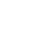 Wild Spins Casino Logo