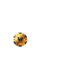 Winnermillion Casino Logo