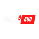 BetNet9 Casino Logo