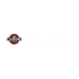 Punto.Bet Casino Logo